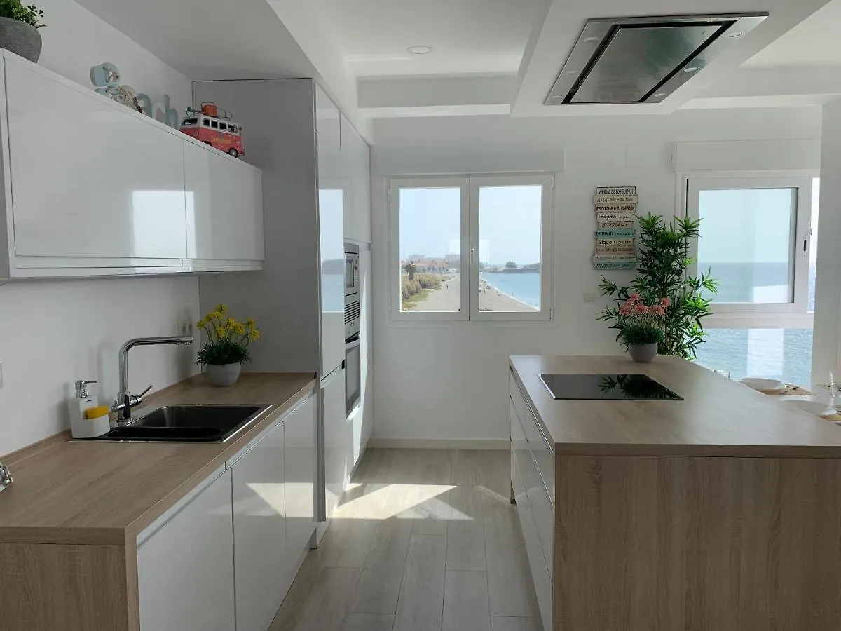 Ocean Beach Salobrena Apartment